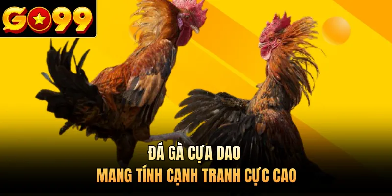 Đá gà cựa dao mang tính cạnh tranh cực cao