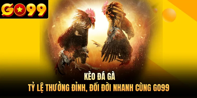 Kèo Đá Gà - Tỷ Lệ Thưởng Đỉnh, Đổi Đời Nhanh Cùng GO99