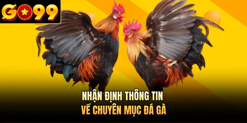 Nhận định thông tin về chuyên mục đá gà