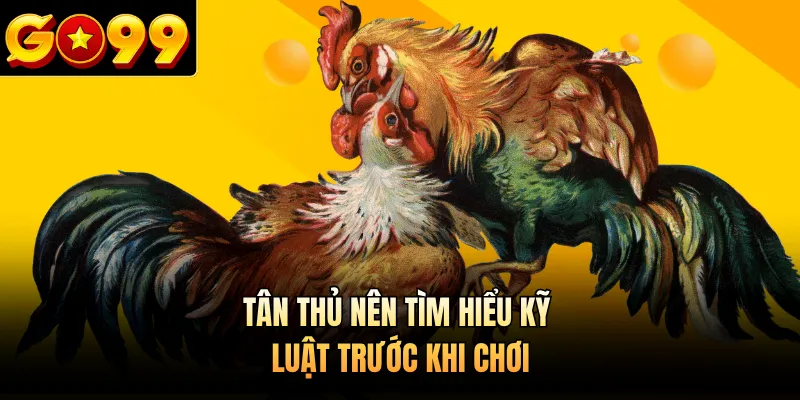 Tân thủ nên tìm hiểu kỹ luật trước khi chơi